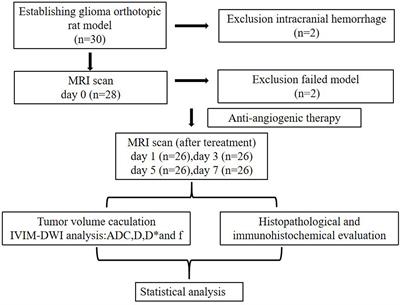 Application of Intravoxel Incoherent Motion Diffusion-Weighted Imaging in Predicting and Monitoring Early Efficacy of Anti-Angiogenic Therapy in the C6 Glioma Rat Model